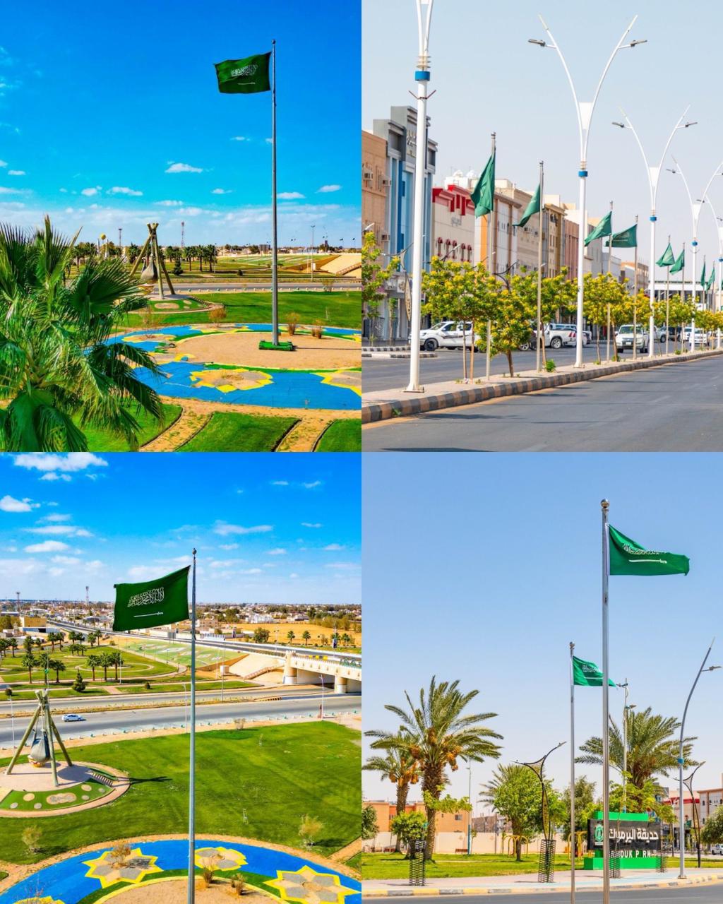 بألف راية خفاقة.. بلدية طبرجل تتوشح بالأخضر احتفاءً بيوم العلم 