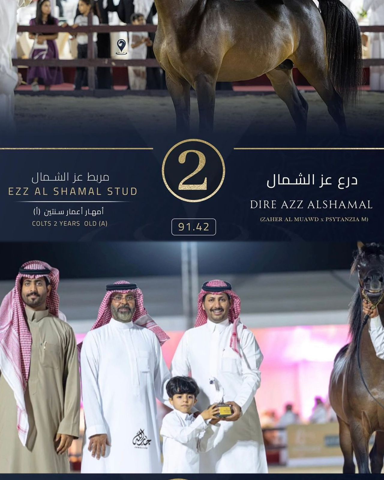 “مربط عز الشمال” يحصد وصافة بطولة القصيم لـ “جمال الخيل”